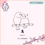 Blog quand partir au Japon - le printemps 1