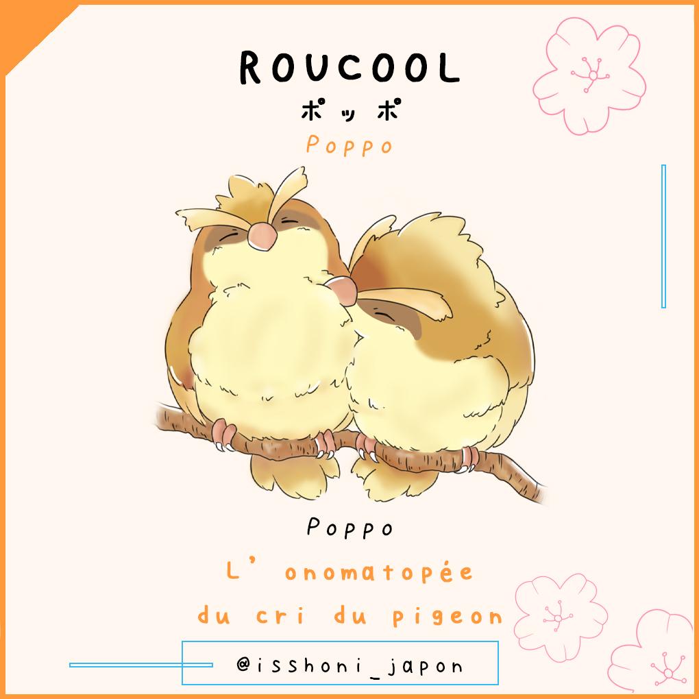 nom des pokemon en japonais - roucool