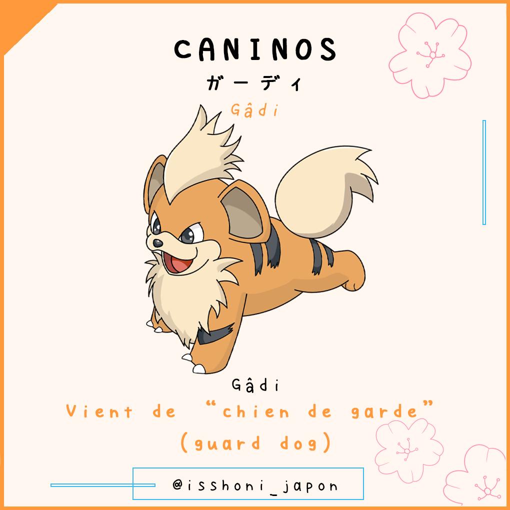 nom des pokemon en japonais - caninos