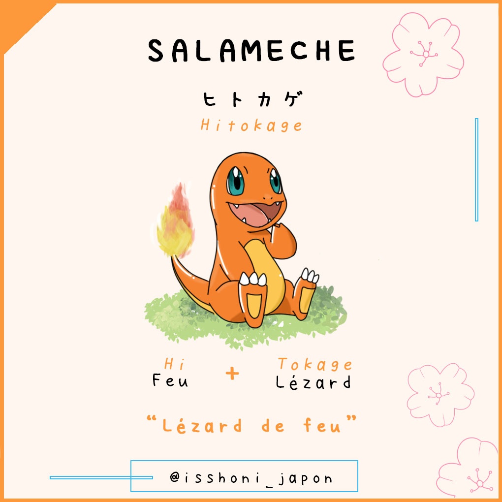 nom des pokemon en japonais - salamèche
