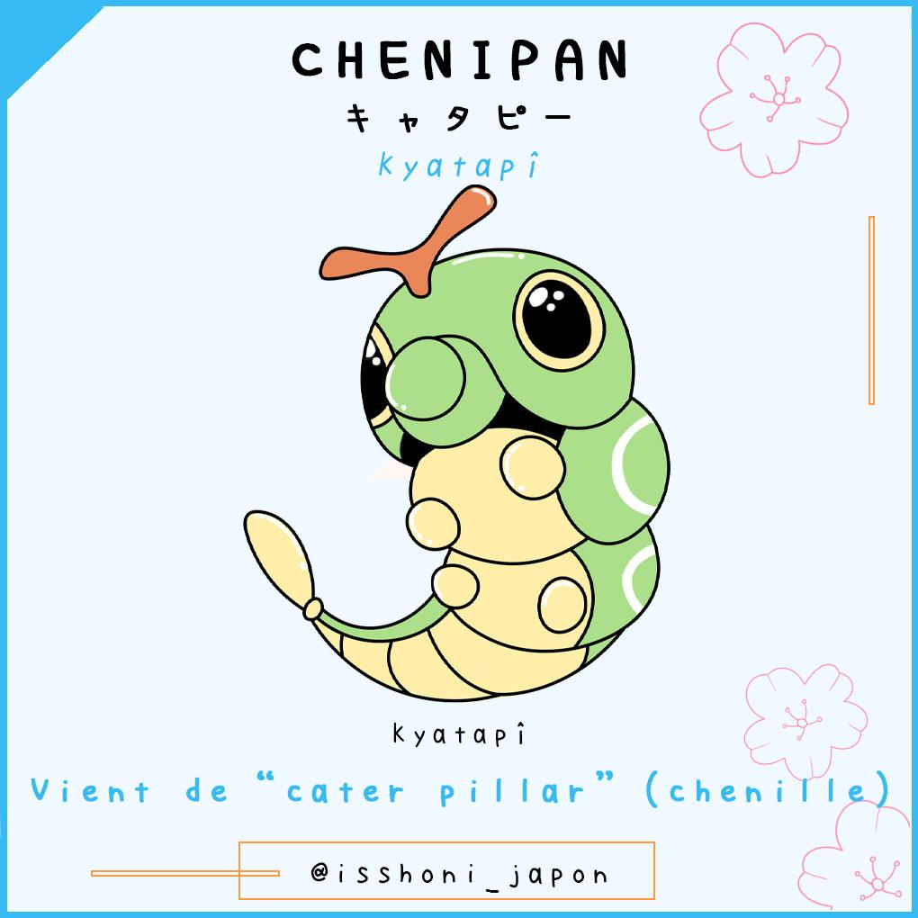 nom des pokemon en japonais - chenipan