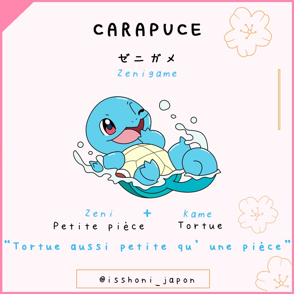 nom des pokemon en japonais - carapuce