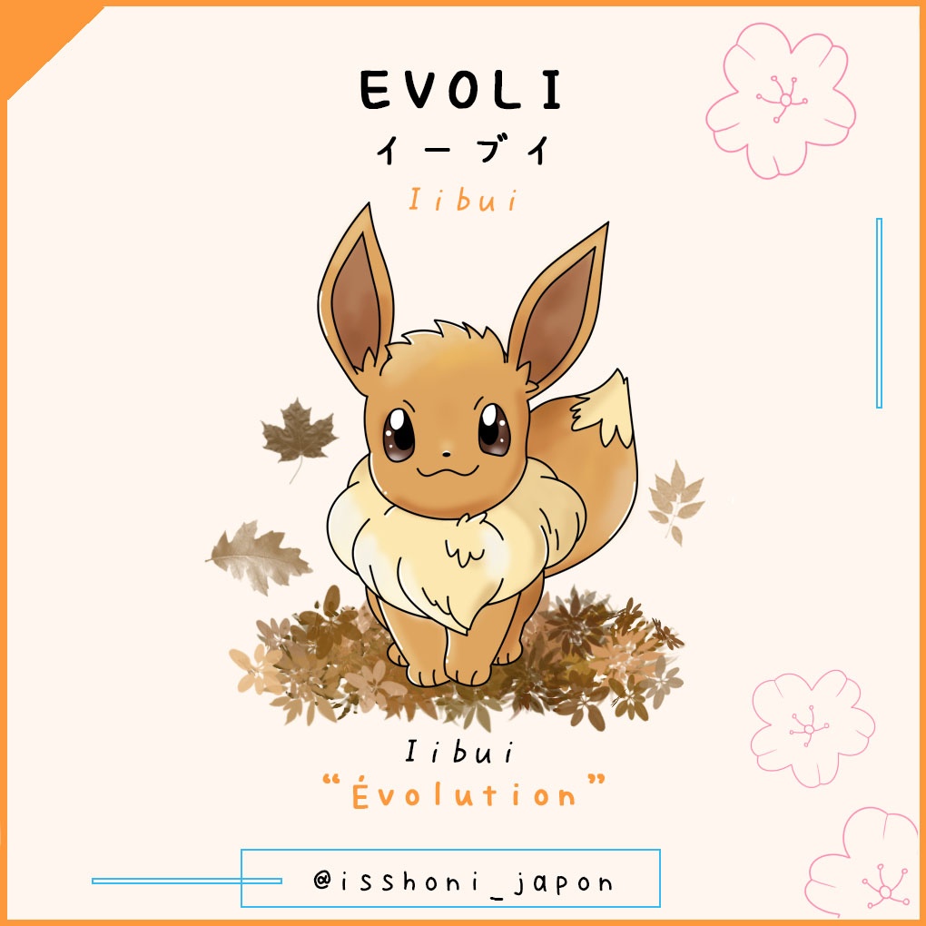 nom des pokemon en japonais - évoli