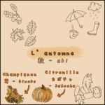 Blog quand partir au Japon - l'automne 4