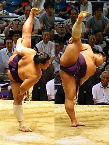 Combat de sumo - shiko