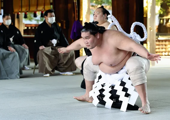 Combat de sumo - yokozuna
