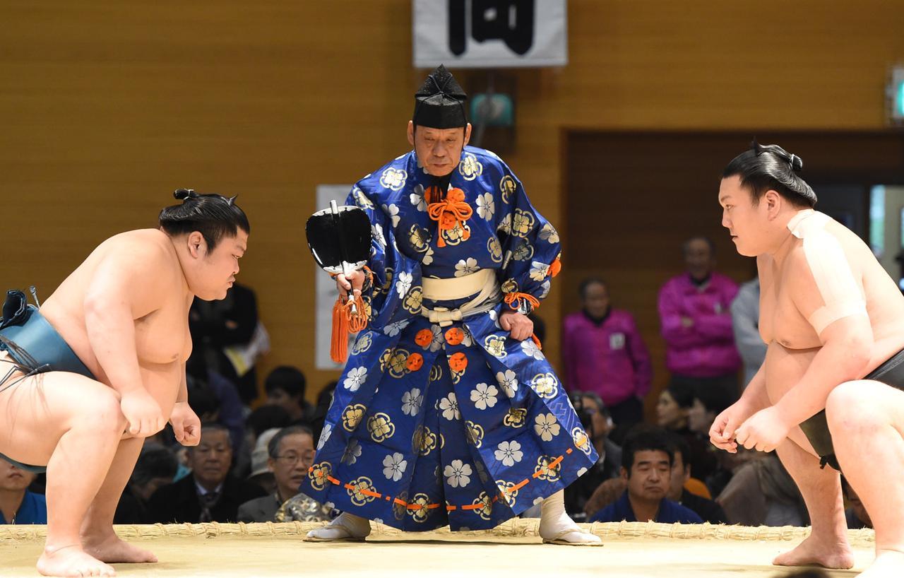 Combat de sumo - face à face